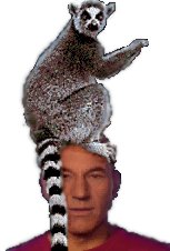 We are missing the picture of Patrick Stewart's Lima Head